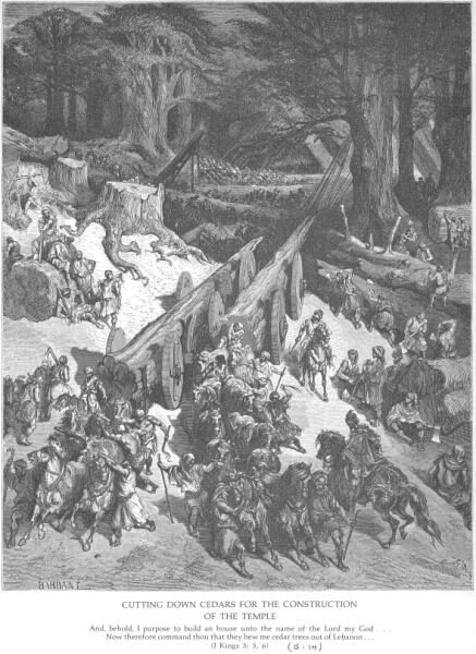 Cedars Cut for the Temple